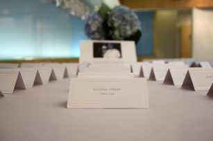 bridal_shower.seating_cards.ny_photographer.apicturesquememoryphotography